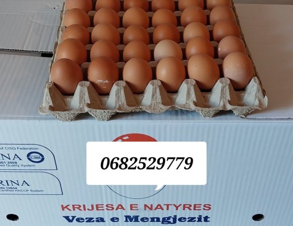 Tirane, prezantoj Veze