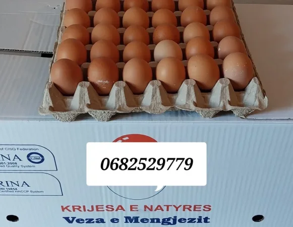 Tirane, prezantoj Veze