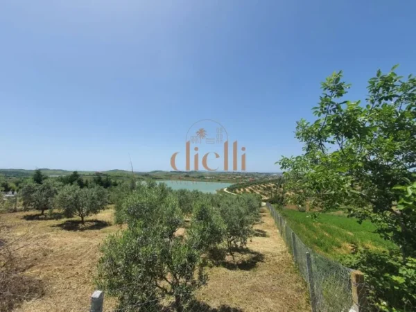 Durres, shitet toke , 2.800 m² 100.000 € (Maminas)