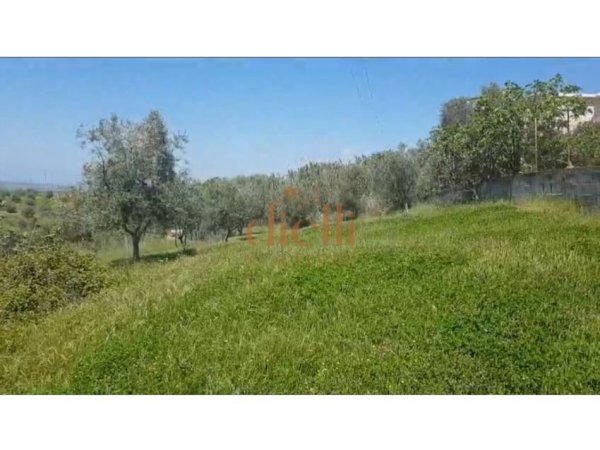 Durres, shitet toke , 2.800 m² 100.000 € (Maminas)