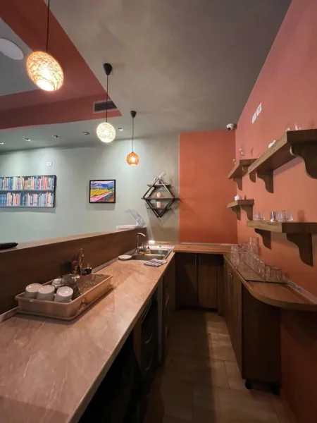 Tirane, jepet me qera Kati 0, 70 m² 1.000 € (Prane Sheshit Willson)