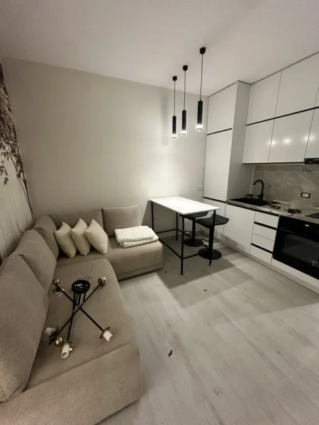 Tirane, jepet me qera apartament 1+1+Ballkon Kati 2, 45 m² 500 € (Rr. Babe Rexha pas Globit)