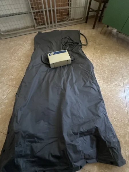 Tirane, shes mjete invalidi 1.152 €