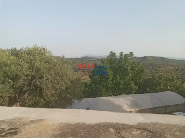 REZERVO PRONEN VETEM ME 500€! Vlore, shitet shtepi 2+1+Aneks+Ballkon Kati 0, 300 m² 60.000 € (HOSHTIME)