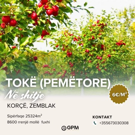 Korce, shitet toke , 25.324 m² (Zemblak,Korce)