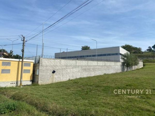 Tirane, shes truall 800 m² 750.000 Euro (Dogana Tirane)