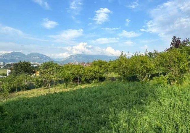 Tirane, shitet toke , 13.000 m² (Mëzez)