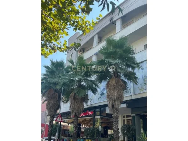 Tirane, shes ambjent biznesi Kati 0, 1.510 m² (XHAMLLIK)