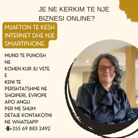 JE NE KERKIM TE NJE  BIZNESI ONLINE?