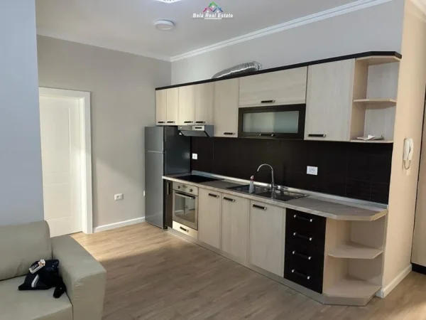 Tirane, jepet me qera apartament 1+1+Ballkon Kati 2, 65 m² 500 € (Liqeni i Thate)