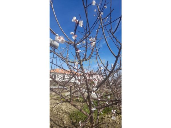 Durres, shitet shtepi 3+1 Kati 1, 129 m² 74.000 € (4 Rruget Shijak)