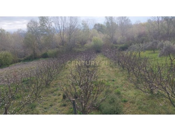 Durres, shitet shtepi 3+1 Kati 1, 129 m² 74.000 € (4 Rruget Shijak)