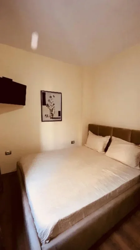 Tirane, jepet me qera garsonier 1+1 Kati 3, 30 m² 350 € (rruga elbasanit)