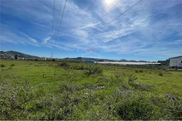 Tirane, shes toke 7.000 m² 80 Euro/m2 (Yzberisht)