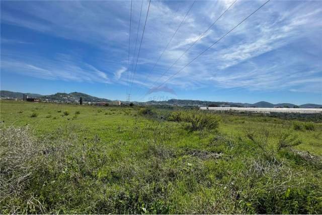Tirane, shes toke 7.000 m² 80 Euro/m2 (Yzberisht)