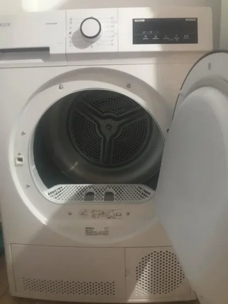 Tirane, lavatrice Tharese Rrobash 'Elektra'