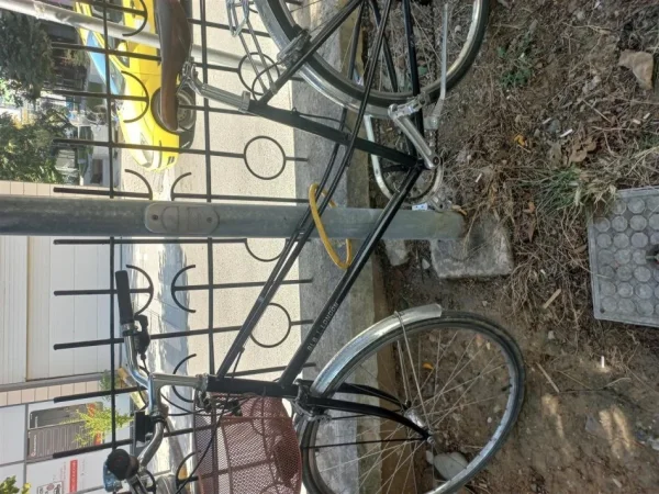 Tirane, shes biciklete BLB London e zeze 200 €