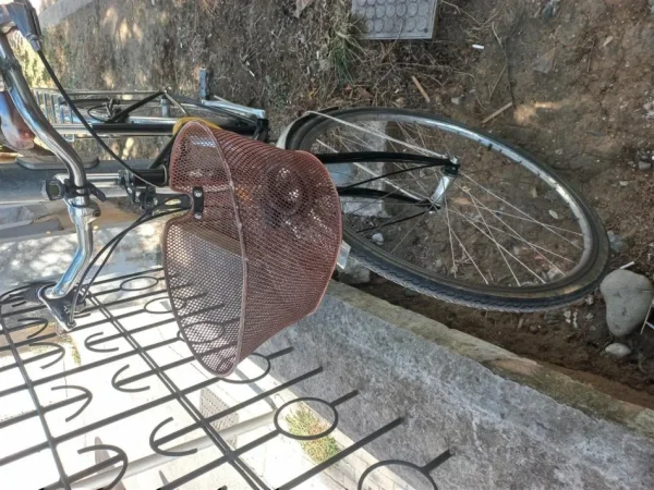 Tirane, shes biciklete BLB London e zeze 200 €