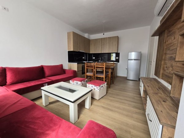 Tirane, jepet me qera apartament 2+1 Kati 1, 500 € (Ish Fusha e Aviacionit)