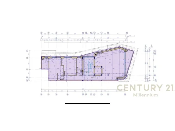 Tirane, shes apartament 2+1+2+Ballkon , 146 m² 290.000 € (Kopshti Botanik Zoologjik)