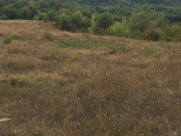 Tirane, shitet toke , 5.500 m² 275.000 € (Gurre e Vogel, Tirane)