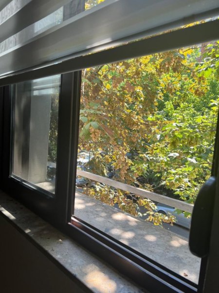 Tirane, jepet me qera ambjent biznesi Kati 2, 80 m² 800 € (Mihal Popi)