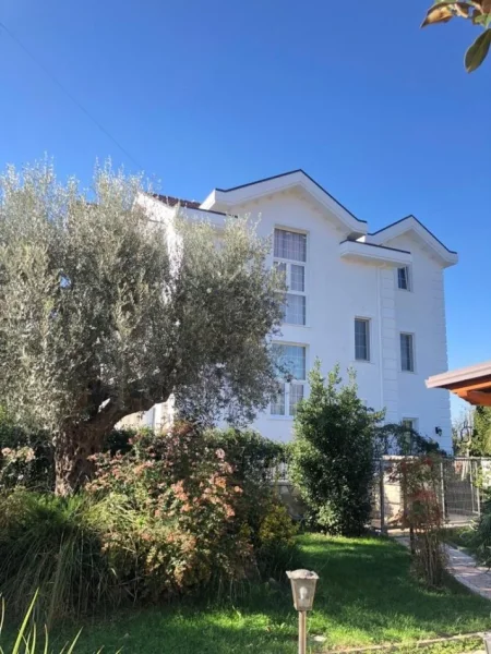 Tirane, shitet Vile 3 Katshe , 500 m² 380.000 € (Rruga Argjinatura)