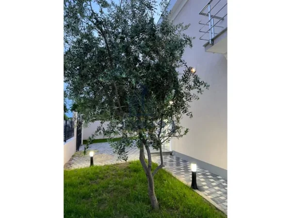 VILE 2KATESHE PER SHITJE, BULÇESH (PASKUQAN)