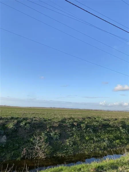 Durres, shitet toke , 10.000 m² 95.000 € (Fllake, Durres)