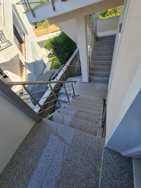 Tirane, jepet me qera apartament 1+1+Ballkon Kati 2, 60 m² 400 € (KINOSTUDIO)