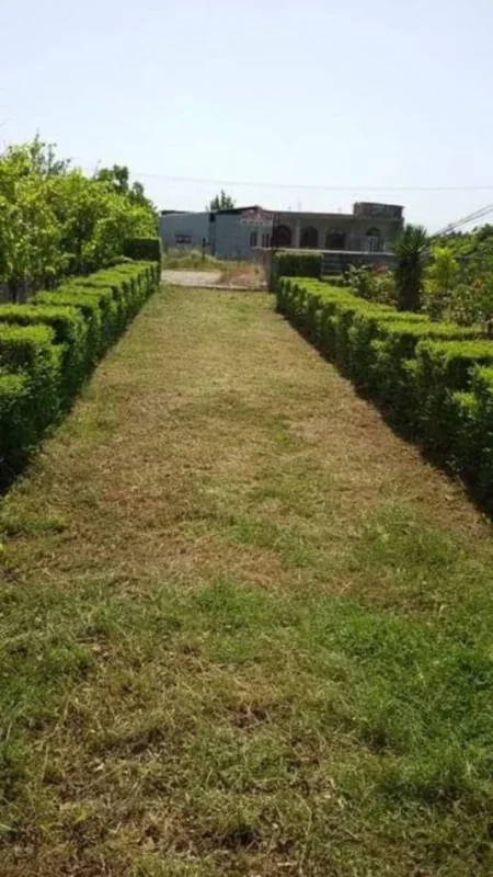 Fier, shes truall , 1.000 m² 