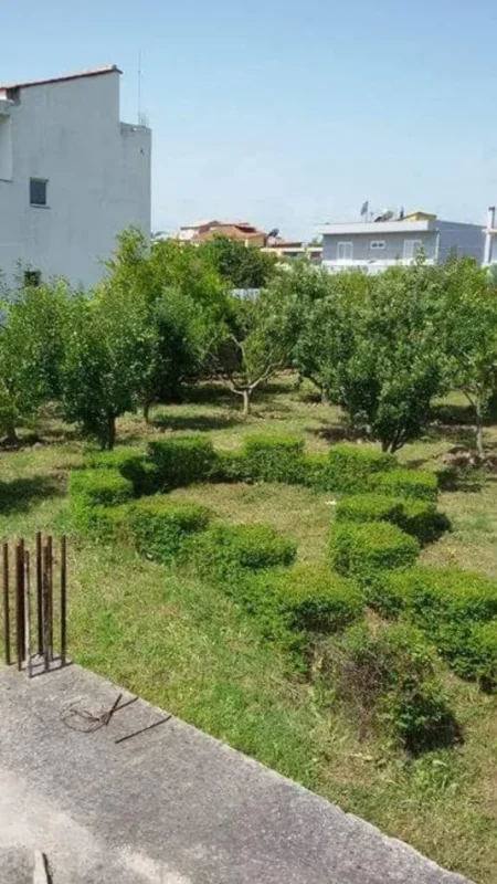 Fier, shes truall , 1.000 m² 