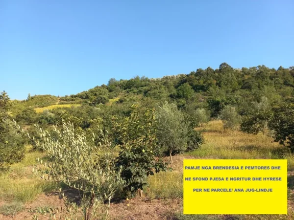 Tirane-Elbasan, Shitet, Tokë-Pemtore, me mundësi ndërtimi edhe shtëpi banimi, sip.7'400m², Cmimi  115'000 €, pranë autostradës Tirane-Elbasan, në daljen e parë tunelit Krrabës, në zonën Mamël / Dopaj, 24-km / 21min  auto nga qendra Tiranës dhe 13-km nga Elbasani.