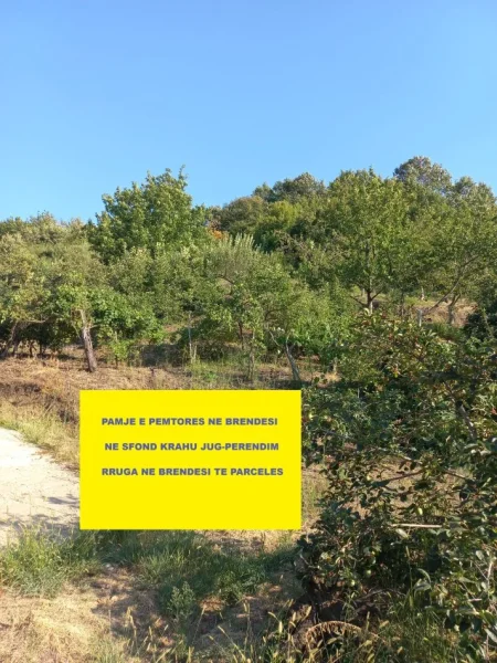 Tirane-Elbasan, Shitet, Tokë-Pemtore, me mundësi ndërtimi edhe shtëpi banimi, sip.7'400m², Cmimi  115'000 €, pranë autostradës Tirane-Elbasan, në daljen e parë tunelit Krrabës, në zonën Mamël / Dopaj, 24-km / 21min  auto nga qendra Tiranës dhe 13-km nga Elbasani.