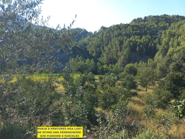 Tirane-Elbasan, Shitet, Tokë-Pemtore, me mundësi ndërtimi edhe shtëpi banimi, sip.7'400m², Cmimi  115'000 €, pranë autostradës Tirane-Elbasan, në daljen e parë tunelit Krrabës, në zonën Mamël / Dopaj, 24-km / 21min  auto nga qendra Tiranës dhe 13-km nga Elbasani.