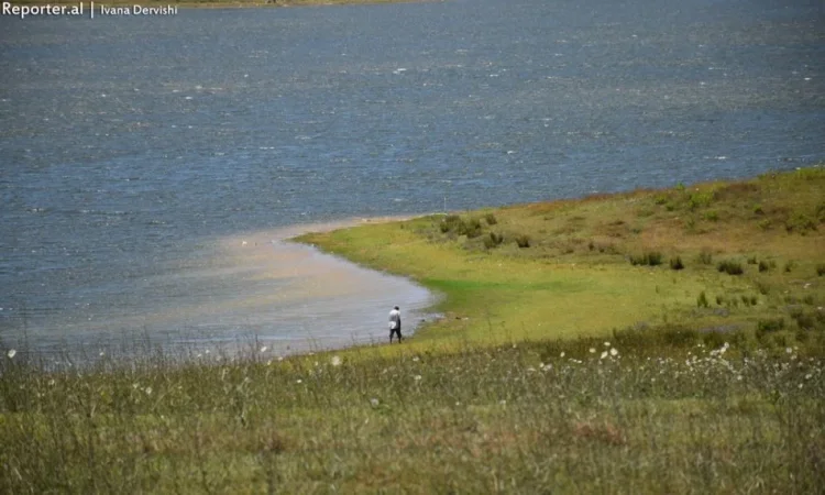 Tirane, shes toke , 1.560 m² 54.000 € (kus)