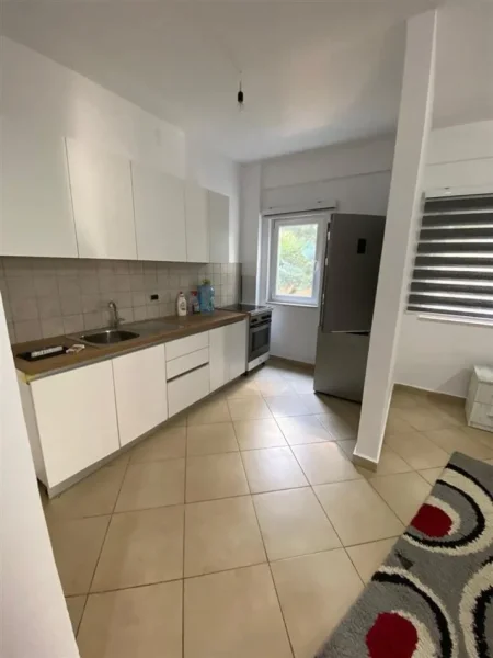Tirane, jepet me qera apartament 1+1 Kati 2, 52 m² 400 € (Liqeni i Thate)