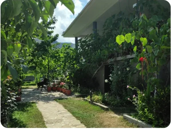 Korce, shitet shtepi 2 Katshe Kati 0, 151 m² 120.000 € 