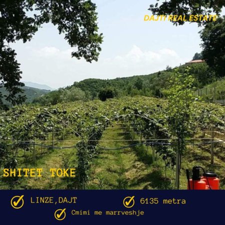 Tirane, shitet toke bujqesore , 6.135 m² (Linze,Dajt,afer Komunes)
