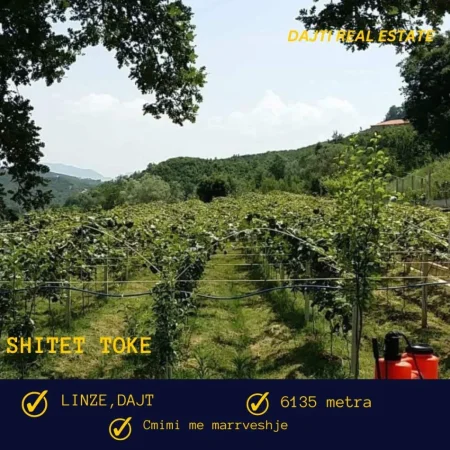 Tirane, shitet toke bujqesore , 6.135 m² (Linze,Dajt,afer Komunes)