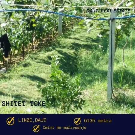 Tirane, shitet toke bujqesore , 6.135 m² (Linze,Dajt,afer Komunes)