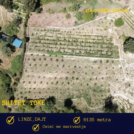 Tirane, shitet toke bujqesore , 6.135 m² (Linze,Dajt,afer Komunes)