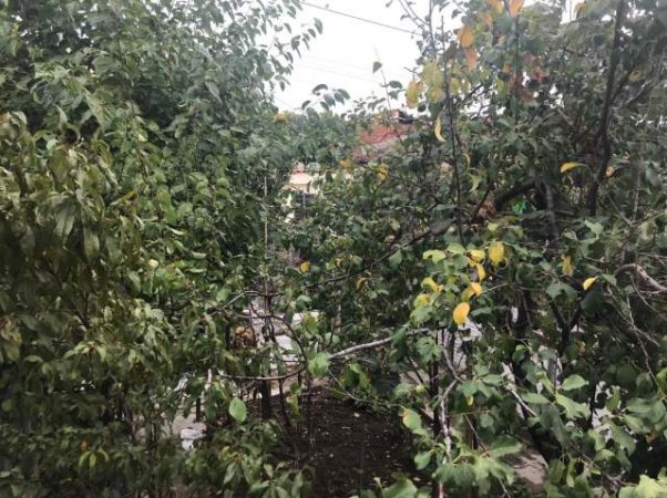 Tirane, shes shtepi 2+1+A+BLK Kati 0, 118 m² 105.000 Euro (qender Babrru Tirane)