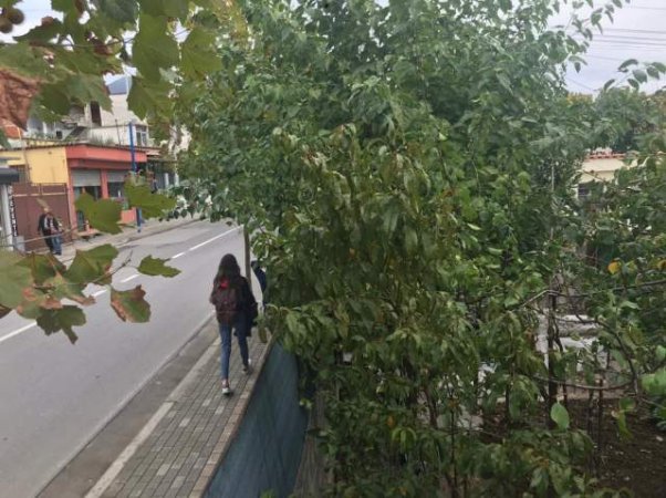 Tirane, shes shtepi 2+1+A+BLK Kati 0, 118 m² 105.000 Euro (qender Babrru Tirane)