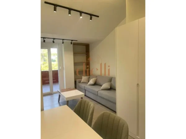 Tirane, jepet me qera apartament 1+1+Ballkon Kati 5, 500 € (Dajt prane Restorant 2 Luanet)