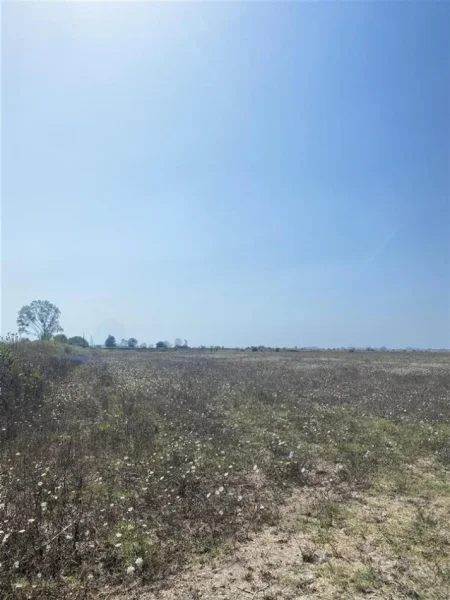 Durres, shitet toke , 5.000 m² 56.000 € (Qerret)