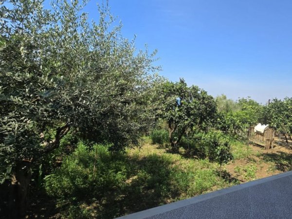 Vlore, shes truall , 1.150 m² 2.200.000 € 