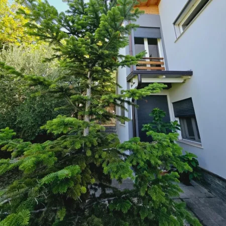 shitet Vile , 220 m² 650.000 €