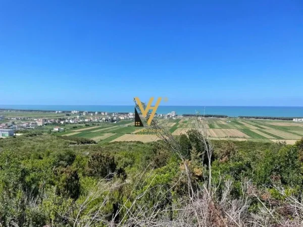 Kavaje, shitet toke , 3.000 m² 110.000 € (SPILLE)