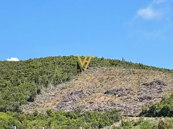 Kavaje, shitet toke , 5.000 m² 200.000 € (SPILLE)